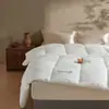Colcha antibacteriana Clase A para espacio, colcha gruesa cálida de invierno, colcha de primavera y otoño, colcha fresca de verano, estilo same que la del hotel, acolchado suave sin bolitas, colcha con relleno de algodón