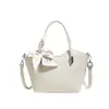 Comercio Exterior Transfronterizo 2024 Bolso de Mano Nuevo para Mujer Moda Simple Versátil Bolso Tote Casual Pañuelo de Seda Bolso de Hombro Único Cruzado