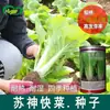 Sementes de Vegetais Su Shen Rápido Horta de Vegetais de Fazenda Pode Ser Envasado Sementes de Repolho Macias e Sedosas Sementes de Vegetais