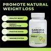 Producto de Alta Venta Transfronterizo Tk Cápsulas de Garcinia Cambogia al por Mayor
