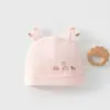 Nueva Gorra Bordada para Bebé Recién Nacido Clase A Costura Sin Hueso Doble Capa Otoño Invierno Protección de Fontanela Recién Nacido Gorra Fetal