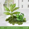 Plantas Artificiales, Vegetación Simulada para Paisajismo, Decoración de Paisajes Interiores y Exteriores, Escaparates, Arte Floral Artificial, Arreglos de Musgo, Hierba de Viajero