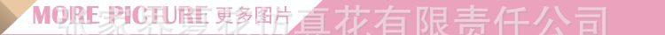 54片潘毛布三角大绣球花头_19.jpg
