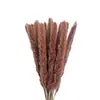 Flores Secas de Juncia Pequeña, Hierba de Pampa, Ramilletes de Juncia Pequeña al por Mayor, Ramilletes para Boda y Decoración del Hogar, Arreglos Florales DIY