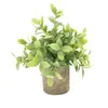 3 bonsáis simulación transfronteriza planta verde maceta pequeña combinación maceta cilíndrica retro decoración de mesa para el hogar decoración de bonsái