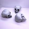 Halloween Simulación Calavera Humana Festival de Fantasmas Decoración Accesorios Truco Truco Juguete Pequeño Mini Plástico Calavera Inflable