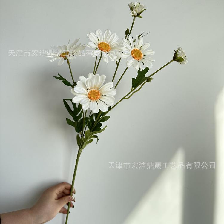 微信图片_202303151641294_副本