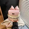 Bolso Pequeño Mini Lindo de Moño de Moda para Mujer, Bolso Cruzado, Nuevo Modelo 2026, Bolso Cuadrado Pequeño Texturizado de un Solo Hombro para Labiales