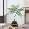 Nueva planta en maceta combinada estilo chino de jade musgo con cuentas de arroz y árbol del dinero, adecuada para mesa de interior, sala de té, oficina, fácil de cuidar y mantener.