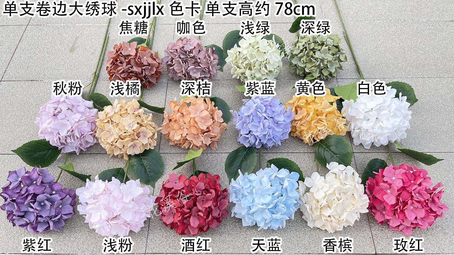 单支卷边大绣球-sxjjlx 色卡 花溪谷.jpg