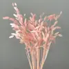 Flores Eternas Erva da Pequena Esperança Flores Secas Flores Verdadeiras Branqueamento Cor acessórios de buquê absorção de cor Erva da Pequena Esperança Fábrica de Yunnan Atacado Flores Eternas