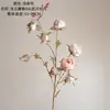 Nube Clara Miel Oculta 8 Cabezas Peonía Europea Estilo Ins Flor Artificial Decoración del Hogar Fabricante Mayorista Transfronterizo Flor Falsa Decoración de Boda