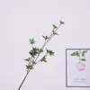 Simulación Plantas Verdes Hojas Ramitas de Madera Borracha de Caballo Nuevo Estilo Chino Decoración del Hogar Floricultura Estilo Campana Japonesa Mori Material de Flor Suave