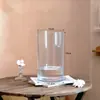 Vaso personalizado em estilo wabi-sabi, vaso de imitação de vidro, vaso transparente para arranjos florais hidropônicos, vaso transparente criativo com toque de luxo