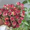 Multi-Cabezal Rosa Burbuja Flores Secas Rosa Ramo de Rosas Reales Marco de Flores de Resina de Yunnan Accesorios y Decoraciones Florales
