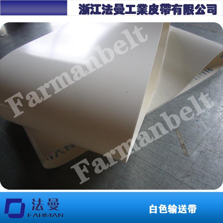 白色输送带4