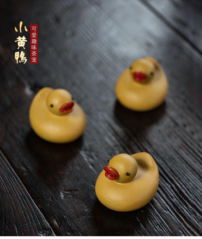 小黄鸭20210806 (14).jpg