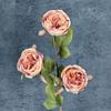 Simulación 3 cabezas capuchino borde tostado Austin rosa boda decoración hogar adornos de flores falsas transfronterizas al por mayor