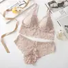 Conjunto de sutiã estilo francês para mulheres com pouco busto, push-up, sexy e atraente, sem aro, de renda, plus size, lingerie anti-queda, comércio exterior