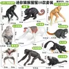 Juguete de Modelo Animal Sólido para Niños Simulación Primates Mono Gorila Simio Chimpancé Regalo Cognitivo