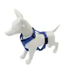 Nuevo collar para correa de mascota, chaleco arnés de seguridad para mascotas y juego de correa, con características reflectantes, suministros para mascotas