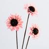 Arte de Crisantemo Holandés Hecho a Mano Materiales de Flores Secas, Plantas, Flores Artificiales Eternas, Artículos Decorativos, Accesorios para Fotos, Flores al por Mayor