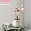 Wanfang Coroa da Longevidade Flor Begônia em Vaso Resistente ao Frio Seda de Jade Colorida Muda de Jardim Velho Tronco Flor de Bonsai Planta Anã
