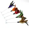 Brinquedo para Gato Bola de Sisal com Pena Resistente à Mordida de Gato Brinquedo com Som para Roer Gato Bola Arranhador Suprimentos para Gatos