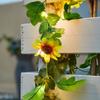 Luzes de Corda Estrela Folha Verde Solar à Prova d'Água Decorativas para Jardim Quarto Exterior Luzes Solares