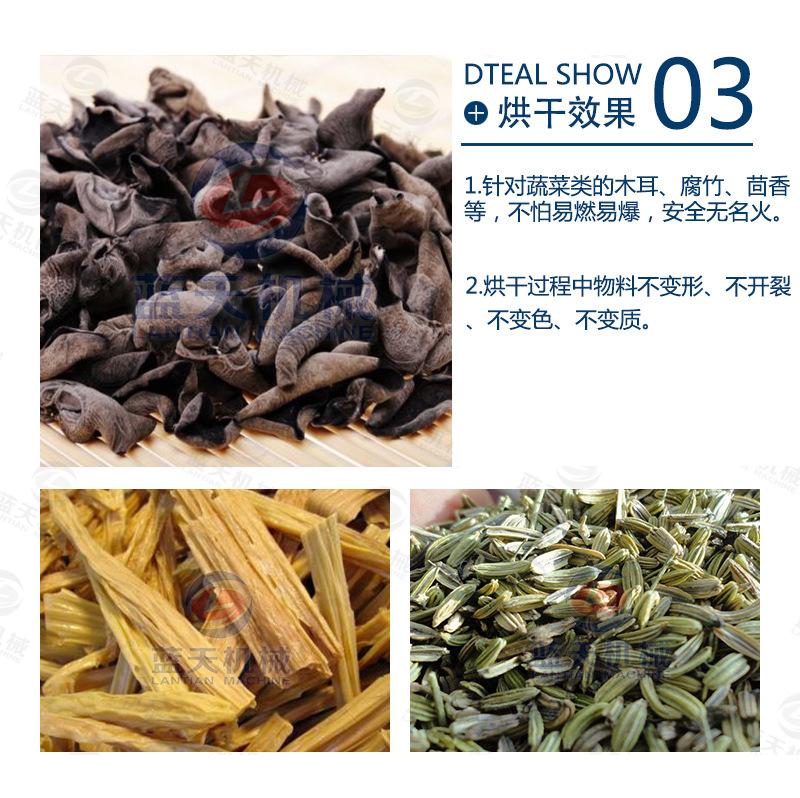 木耳_06.jpg