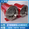 Lámpara Antiexplosiva Dgy18/36L Lámpara LED Antiexplosiva para Minería Lámpara de Iluminación para Locomotora
