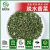 Coentro Desidratado, Vegetais Secos, Tempero, Comida Prática, Pacotes de Tempero, Ingredientes, Flocos de Coentro, Fabricante de Origem de Fábrica Atacado