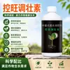Controle Wang Ajuste Agente Forte Promotor de Árvores Frutíferas Regulador Controle Brotos Controle Crescimento Vigoroso Não Controle Frutas Proteja Flores Proteja Frutas