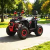 200cc en stock 1