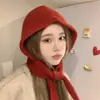 Etiqueta de Tecido Chapeuzinho Vermelho Outono e Inverno Estilo Coreano Chapéu de Lã Quente com Capuz Pequeno Moda Chapéu de Tricô Versátil para Mulheres