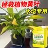 Solución nutritiva para plantas, tipo universal para suculentas, bambú de la suerte, árbol del dinero, potos, plantas en maceta hidropónicas, fertilizante para cultivo de flores en casa