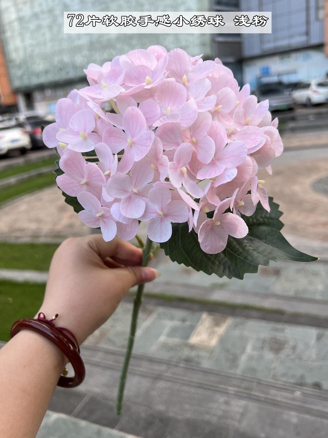 微信图片_20220727125736_副本
