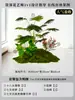 Musgo para Paisajismo de Plantas Verdes Plantas Artificiales Decoración Flores Artificiales Combinación Tropical para Interiores Paisaje de Ventana Persa Arreglo de Césped