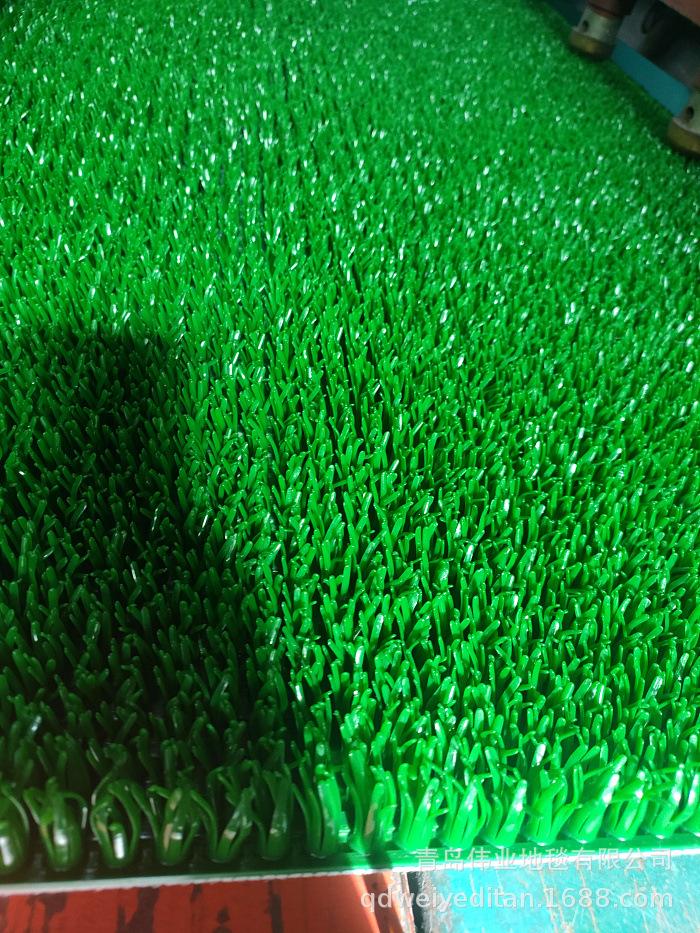 IMG20230220111500.jpg