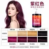 Champú fijador de color de primera calidad al por mayor en stock, protección del color de larga duración, especial para cabello teñido para sellar y conservar el color, disponible en morado, gris, azul y rosa