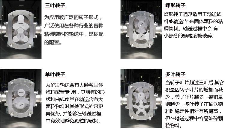 转子泵新_05