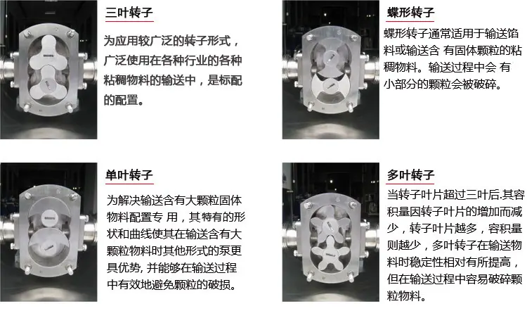 转子泵新_05