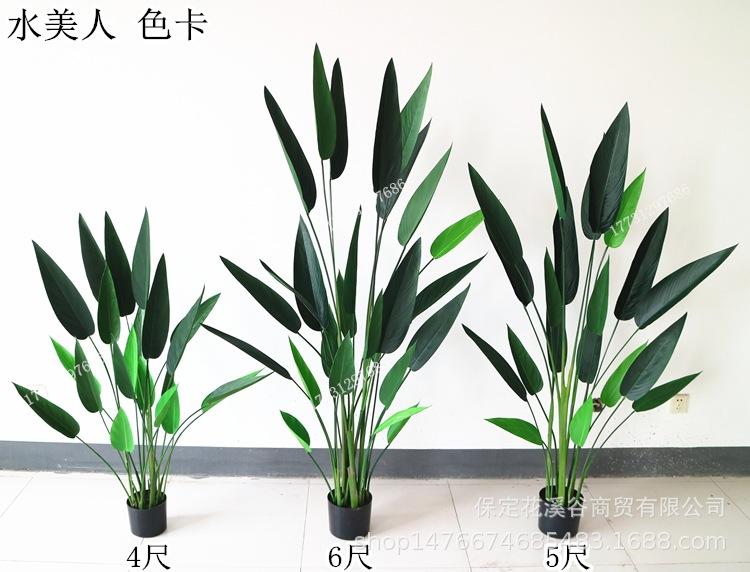 水美人 色卡_副本.jpg