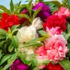 180 Variedades de Sementes de Flores Não Repetitivas, Fáceis de Cultivar em Todas as Estações, Podem Afastar Mosquitos, Adequadas para Varandas Internas e Externas, Distribuição Transfronteiriça