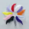 Pluma de Pavo Colorida DIY Hecha a Mano Material de Pluma Decorativa Cola Puntiaguda Bola de Terciopelo Ondulada Material de Relleno para Caja de Regalo Atrapasueños