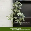 Ciber Celebrado Planta Verde Hierba Lixiviada Aracus Monet Paisaje Ventana Jardín Boda Flor de Boda Arte Flor Arreglo Floral