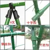 Estrutura de treliça para videiras em tubo de aço revestido de plástico tubo de aço revestido de plástico com suporte de cartão universal conexão fivela de mola acessórios de estrutura em A para plantio