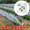 Plantas Verdes Suculentas Tienda de Aislamiento para el Hogar Cubierta Impermeable a Prueba de Heladas a Prueba de Polvo a Prueba de Viento a Prueba de Frío Cubierta de Aislamiento para Invernadero Habitación Cálida Habitación para Flores