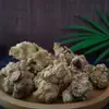 Ginseng de Bambú, Ginseng de Hueso de Dragón, Ginseng Rey, Yunnan