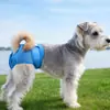 Pantalones Fisiológicos de Malla para Mascotas con Velcro para Perros Hembra, Cinturón de Cortesía para Perros con Cintura Ajustable, Productos para Perros de Alta Venta